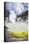 Acid Crater Lake, White Island Volcano, an Active Volcano in the Bay of Plenty-Matthew Williams-Ellis-Stretched Canvas