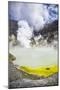 Acid Crater Lake, White Island Volcano, an Active Volcano in the Bay of Plenty-Matthew Williams-Ellis-Mounted Photographic Print