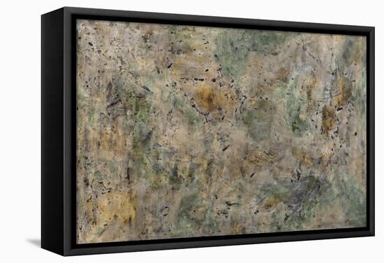 Acid Wash-Tyson Estes-Framed Stretched Canvas