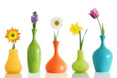 Spring Flowers In Vases Isolated On White-Acik-Laminated Premium Giclee Print