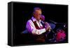 Acker Bilk, Dorking Halls, Dorking, Surrey, 2012-Brian O'Connor-Framed Stretched Canvas