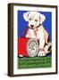 Ackermann Thread Advertisement With A Large Spool And A Puppy-null-Framed Art Print