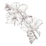 Hand Drawing Hibiscus Flower-Acnaleksy-Stretched Canvas