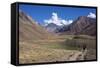 Aconcagua Park, Highest Mountain in South America, Argentina-Peter Groenendijk-Framed Stretched Canvas