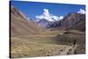 Aconcagua Park, Highest Mountain in South America, Argentina-Peter Groenendijk-Stretched Canvas