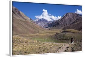 Aconcagua Park, Highest Mountain in South America, Argentina-Peter Groenendijk-Framed Photographic Print