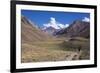 Aconcagua Park, Highest Mountain in South America, Argentina-Peter Groenendijk-Framed Photographic Print