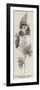 Aconite (Aconitum Napellus), Monkshood, or Wolfsbane-null-Framed Giclee Print