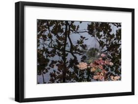 Acorn Falling Into Pond With Tree Reflections-Anthony Paladino-Framed Giclee Print