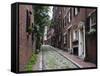 Acorn Street, Beacon Hill, Boston, Massachusetts, USA-Amanda Hall-Framed Stretched Canvas