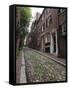 Acorn Street, Beacon Hill, Boston, Massachusetts, USA-Amanda Hall-Framed Stretched Canvas