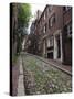 Acorn Street, Beacon Hill, Boston, Massachusetts, USA-Amanda Hall-Stretched Canvas