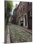 Acorn Street, Beacon Hill, Boston, Massachusetts, USA-Amanda Hall-Mounted Photographic Print