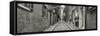 Acorn Street in Beacon Hill, Boston, Massachusetts, USA-Panoramic Images-Framed Stretched Canvas