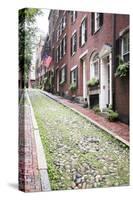 Acorn Street, the Oldest Street in the Beacon Hill Area of Boston Massachusetts-pdb1-Stretched Canvas