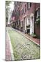 Acorn Street, the Oldest Street in the Beacon Hill Area of Boston Massachusetts-pdb1-Mounted Photographic Print