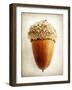 Acorn-Jessica Rogers-Framed Giclee Print