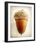 Acorn-Jessica Rogers-Framed Giclee Print