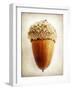 Acorn-Jessica Rogers-Framed Giclee Print