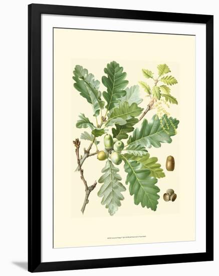 Acorns & Foliage I-null-Framed Art Print