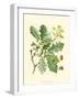 Acorns & Foliage I-null-Framed Art Print