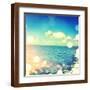 Brown Frame