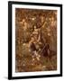 Acrasia, C.1888-John Melhuish Strudwick-Framed Giclee Print