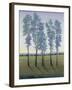 Acreage II-Tim O'toole-Framed Art Print