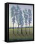 Acreage II-Tim O'toole-Framed Stretched Canvas