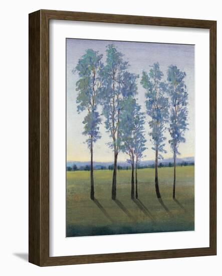 Acreage II-Tim O'toole-Framed Art Print