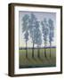 Acreage II-Tim O'toole-Framed Art Print