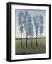 Acreage II-Tim O'toole-Framed Art Print