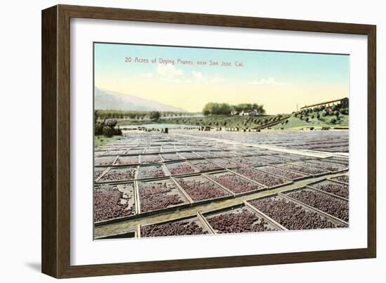 Acres of Drying Prunes-null-Framed Premium Giclee Print