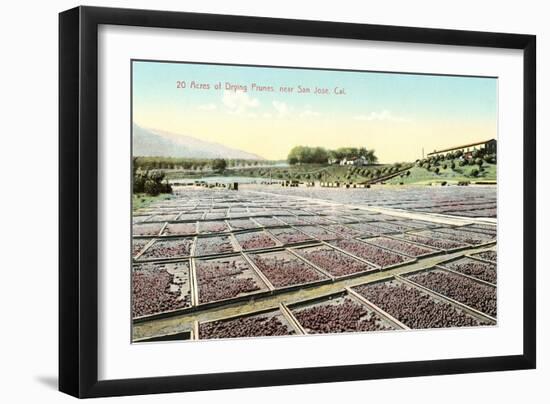 Acres of Drying Prunes-null-Framed Art Print