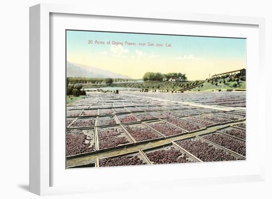 Acres of Drying Prunes-null-Framed Art Print