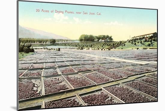 Acres of Drying Prunes-null-Mounted Art Print