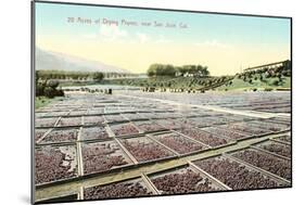 Acres of Drying Prunes-null-Mounted Art Print
