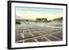 Acres of Drying Prunes-null-Framed Art Print