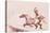 Acrobat on Horseback-Henri de Toulouse-Lautrec-Stretched Canvas