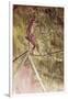 Acrobat on Tightrope-Henri de Toulouse-Lautrec-Framed Giclee Print