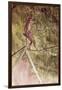 Acrobat on Tightrope-Henri de Toulouse-Lautrec-Framed Giclee Print