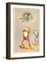 Acrobatic Frog-null-Framed Art Print