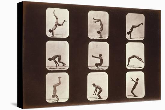 Acrobatic Poses-null-Stretched Canvas