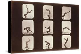 Acrobatic Poses-null-Stretched Canvas