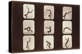 Acrobatic Poses-null-Stretched Canvas