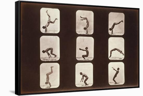 Acrobatic Poses-null-Framed Stretched Canvas