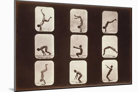 Acrobatic Poses-null-Mounted Art Print