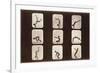 Acrobatic Poses-null-Framed Premium Giclee Print