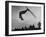 Acrobatic Skier Jack Reddish in Somersault at Sun Valley Ski Resort-J^ R^ Eyerman-Framed Photographic Print