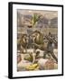 Acrobats Falls, Lion Cage-A. Beltrame-Framed Art Print